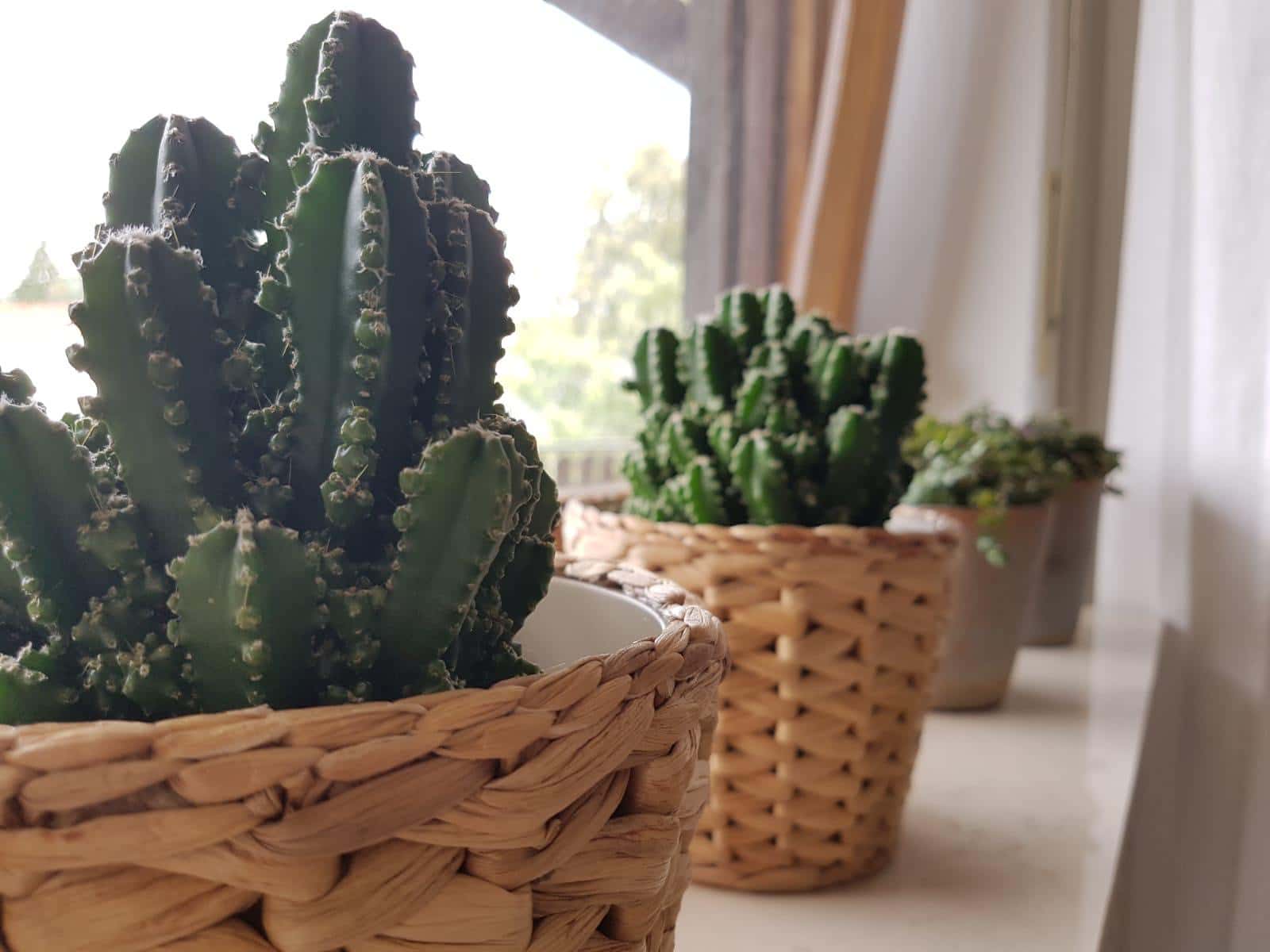 Sommerhaus Daun, Ferienhaus in der Eifel, Einrichtung und Ausstattung